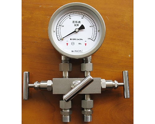 安徽差压表带三阀组